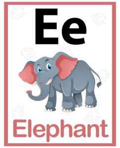 Alphabet Identification Worksheets - Free Printables - E for Elephant