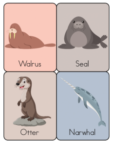 Animal Flashcards - Free Printable worksheets for kids 16