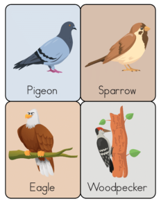 Animal Flashcards - Free Printable worksheets for kids 22