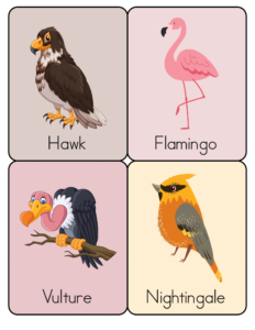 Animal Flashcards - Free Printable worksheets for kids 25