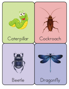 Animal Flashcards - Free Printable worksheets for kids 30