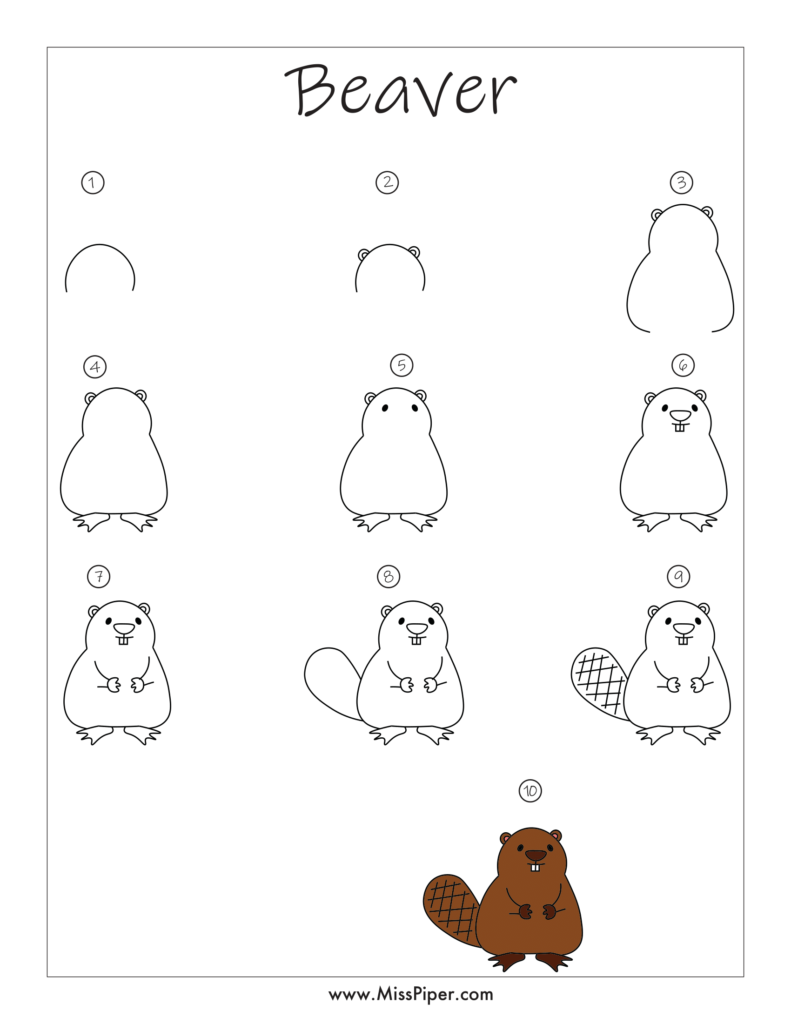 Beaver – How to draw Step by Step, easy for beginners – Free Printables