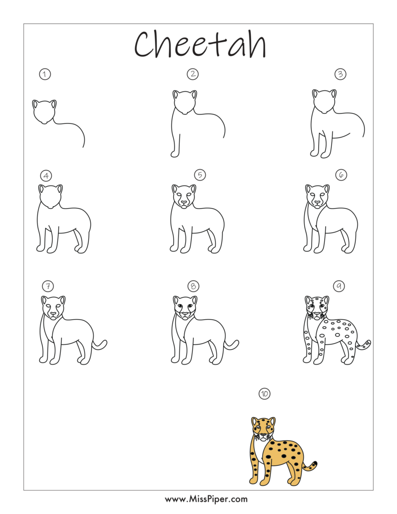 Cheetah – How to draw Step by Step, easy for beginners – Free Printables