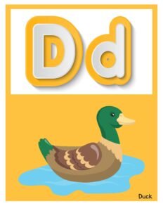 Classroom Alphabets D Free Printable - Alphabet Posters