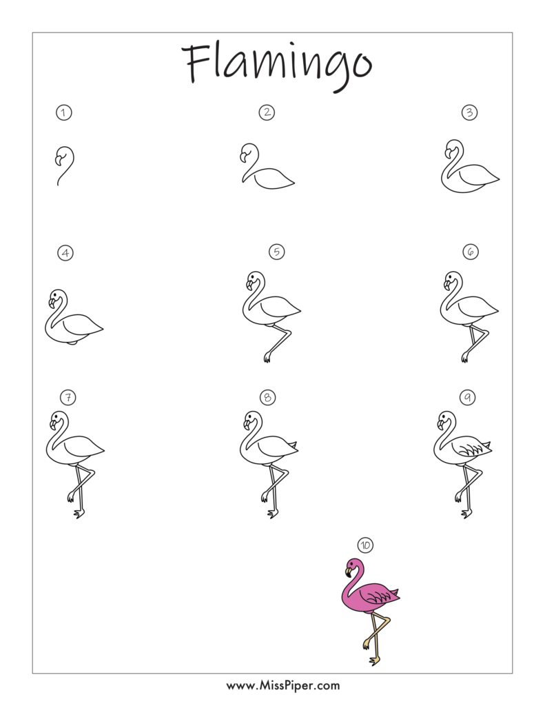 Flamingo – How to draw Step by Step, easy for beginners – Free Printables