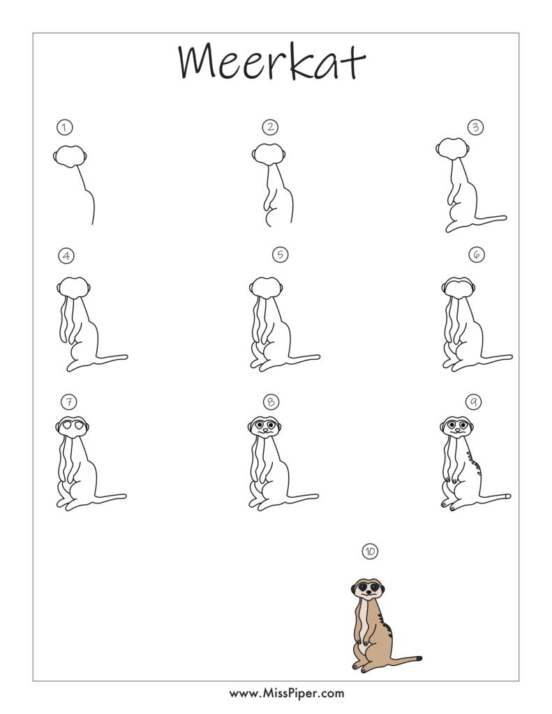 Meerkat – How to draw Step by Step, easy for beginners – Free Printables