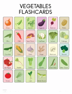 Nature Flashcards-12- Free Printable worksheets for kids