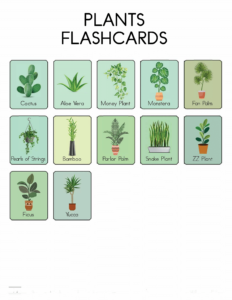 Nature Flashcards-20- Free Printable worksheets for kids