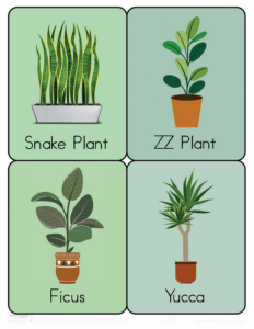 Nature Flashcards-23- Free Printable worksheets for kids