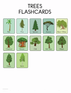 Nature Flashcards-24- Free Printable worksheets for kids