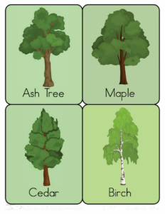 Nature Flashcards-27- Free Printable worksheets for kids