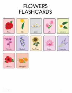 Nature Flashcards-28- Free Printable worksheets for kids