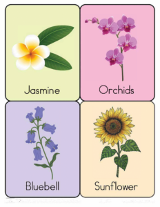 Nature Flashcards-30- Free Printable worksheets for kids