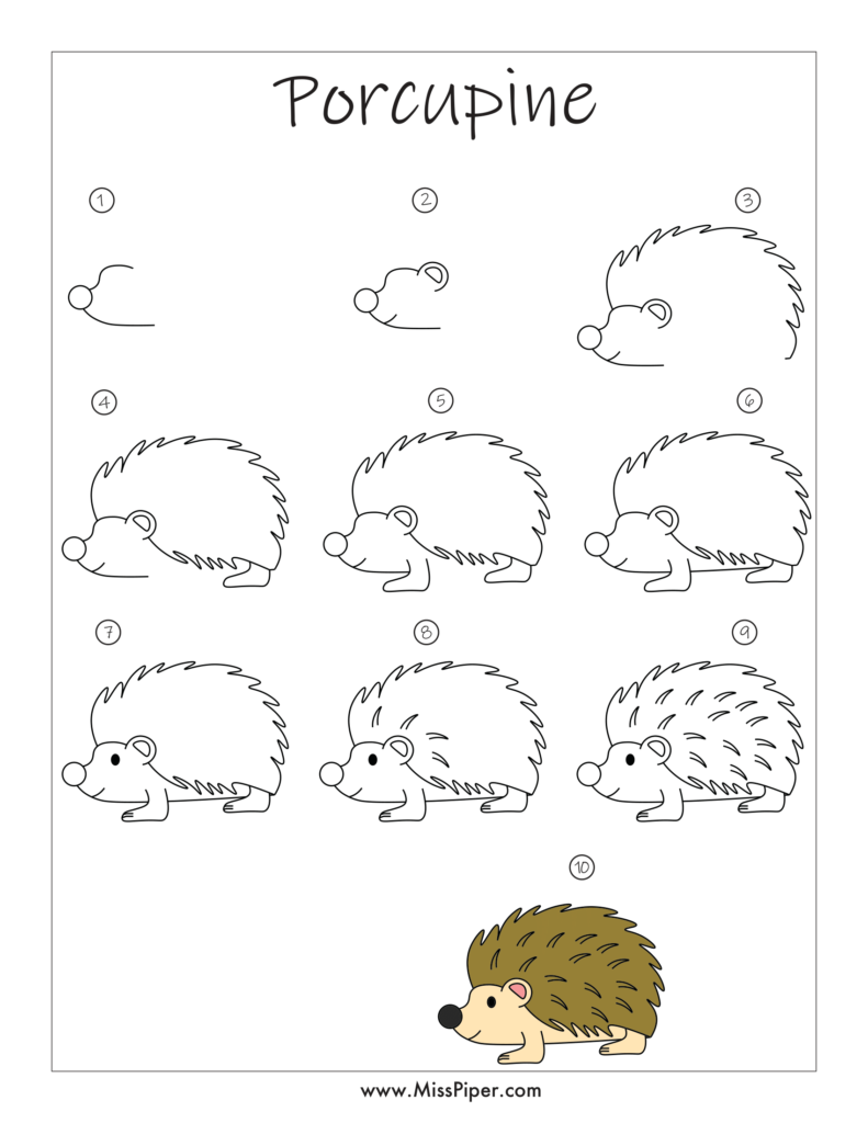 Porcupine – How to draw Step by Step, easy for beginners – Free Printables