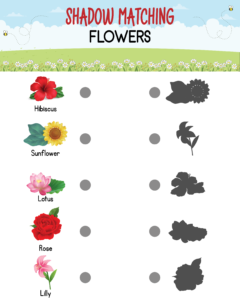 Shadow Matching Worksheets - Free Printables (18)