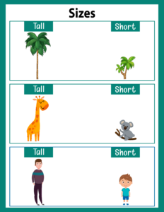 Size Comparison Worksheets - Free Printables (10)