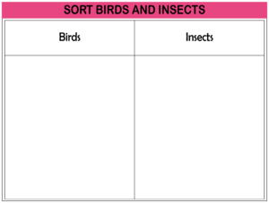 Sorting Worksheets - Free Printables (21)