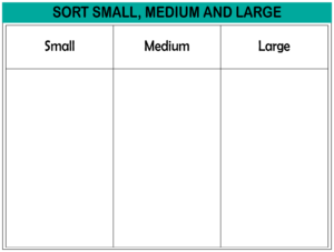 Sorting Worksheets - Free Printables (35)
