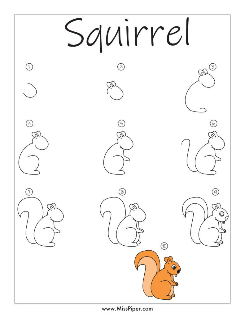 Squirrel – Simple How to draw Step by Step easy for beginners – Free Printables