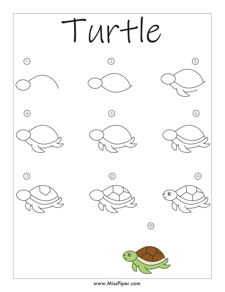 Turtle – Simple How to draw Step by Step easy for beginners – Free Printables