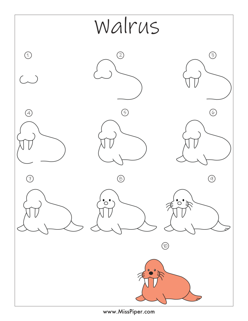 Walrus – How to draw Step by Step, easy for beginners – Free Printables